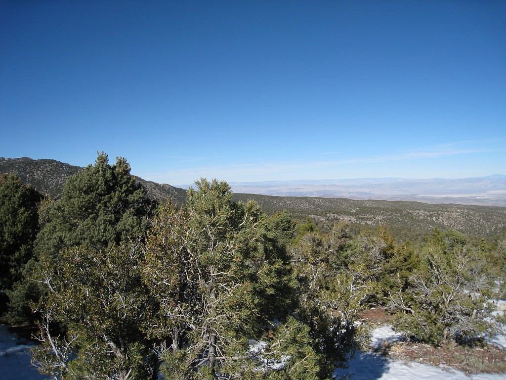 Las Vegas 2010 - Mt Charleston 0331.JPG - The 2010 Las Vegas Fire - Ice and Sweat Tour. Half Marathon, Red Rock Canyon, Casinos, Valley of Fire.... and buffets!